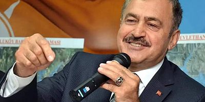 Veysel Eroğlu Irak Özel Temsilciliği’ne atandı