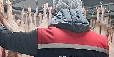 Yem ve gıda işletmelerine yönelik denetimler sürüyor