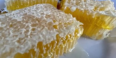 Yenice ıhlamur balı AB'den coğrafi işaret tescili aldı