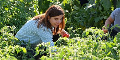Yerel tohumlu bostanda hasat: Eşbaşkan Bucak kadınlarla sebze topladı
