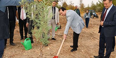 “Yeşil Vatan” İçin Dicle Üniversitesi’nde Fidanlar Toprakla Buluştu