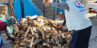 Yetimler Vakfı'ndan yetim ailelere odun yardımı