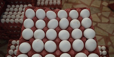 Yumurta fiyatlarında büyük artış: Bir koli 200 TL'yi aştı
