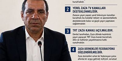 Zaza Dilinin ve Kültürünün Korunması İçin Beş Maddelik Çağrı