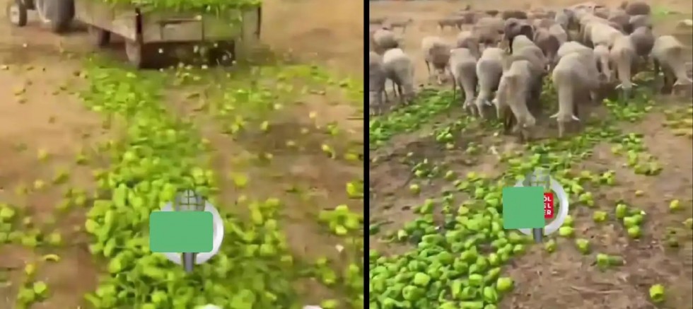 Ticaret Bakanlığı’ndan 