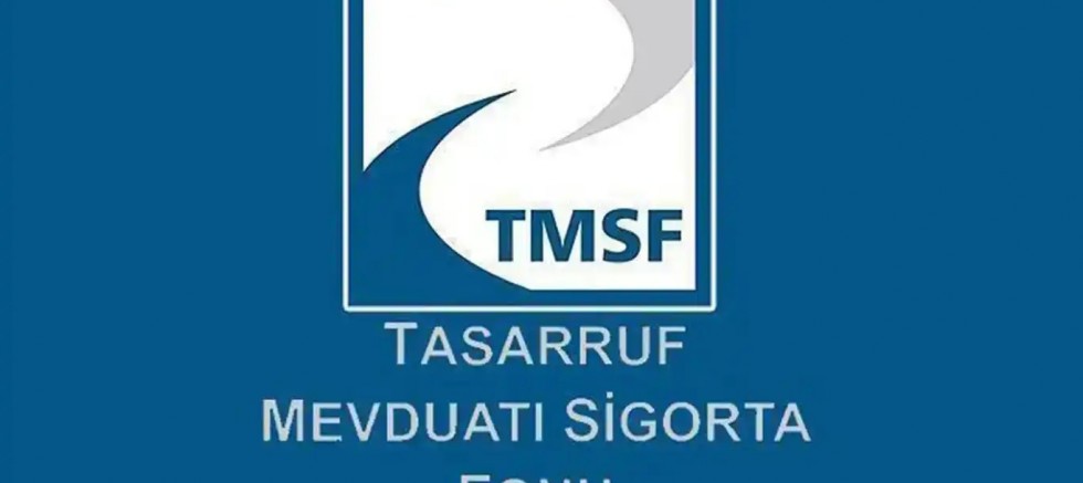 TMSF, Tera Yatırım Teknoloji Holding'e kayyum olarak atandı