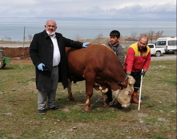 TOSUNUNU BAĞIŞLADI