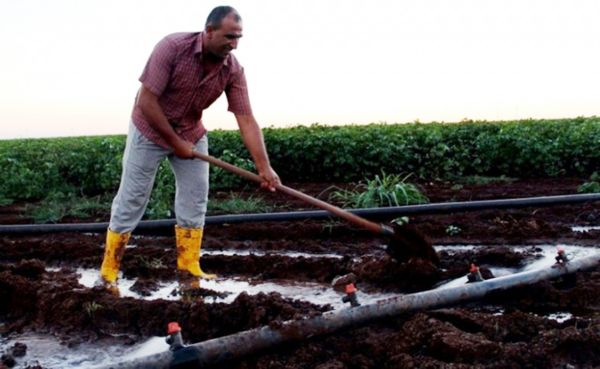 TÜKETİCİLERE ELEKTRİĞİ  ‘TASARRUFLU KULLANIN’ ÇAĞRISI