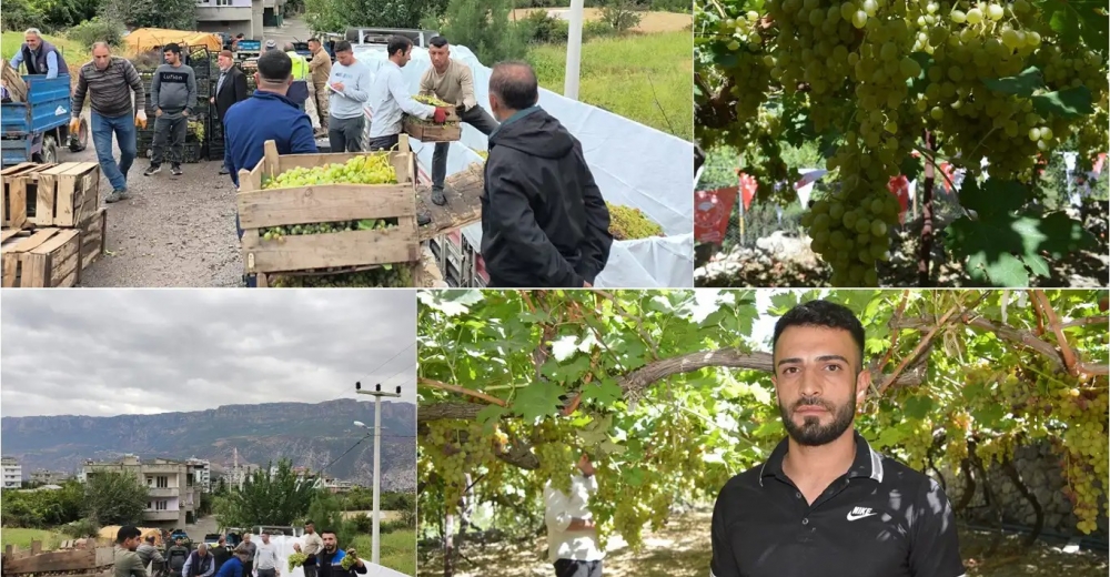 Üzüm üreticilerinden düşük alım fiyatlarına tepki: Tüccara satmayıp sirke yapacaklar