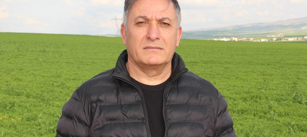 ZMO Başkanı Doğan: Buğday, arpa ve mercimekte yüksek rekolte bekliyoruz